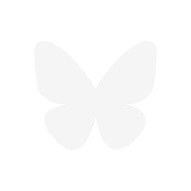 the bluesky logo